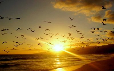 Y Dios dijo: «Hágase la Luz». Y la Luz se hizo