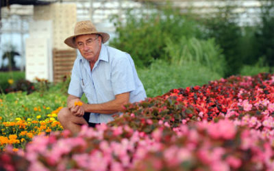 Josep Pamiés, el revolucionario de las plantas