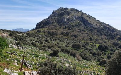 La Junta de Andalucía impulsa la investigación arqueológica en las Sierras Subbéticas