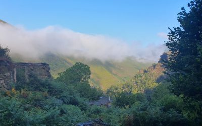 Rafa Mejía y la Nueva Medicina Germánica