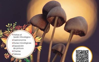 Subbética Micológica