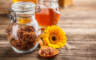 Propóleo, un antibiótico natural ancestral